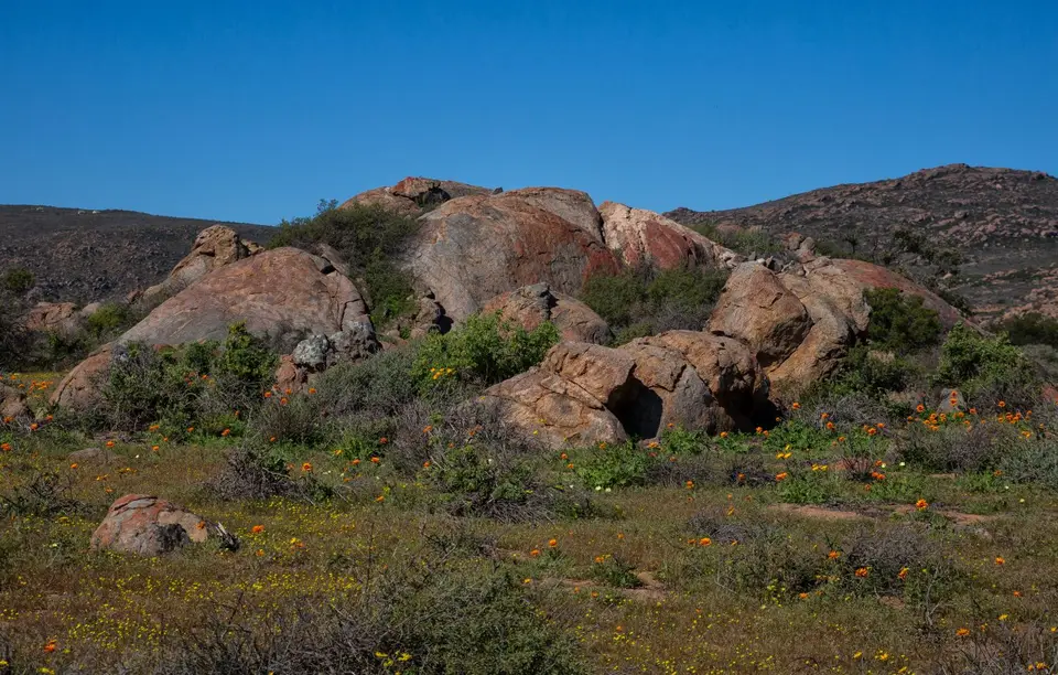 Südafrika_NamaqualandNP_75.jpg
