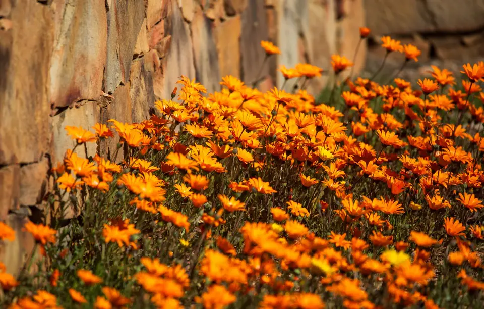 Südafrika_Sanddrif_002.jpg