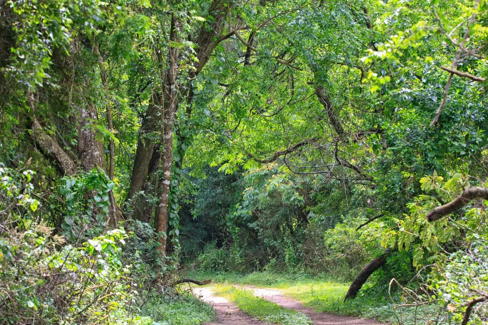 Südafrika_StLucia_007.jpg