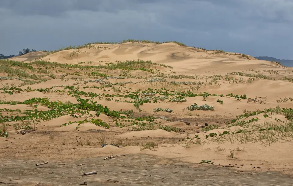 Südafrika_StLucia_011.jpg