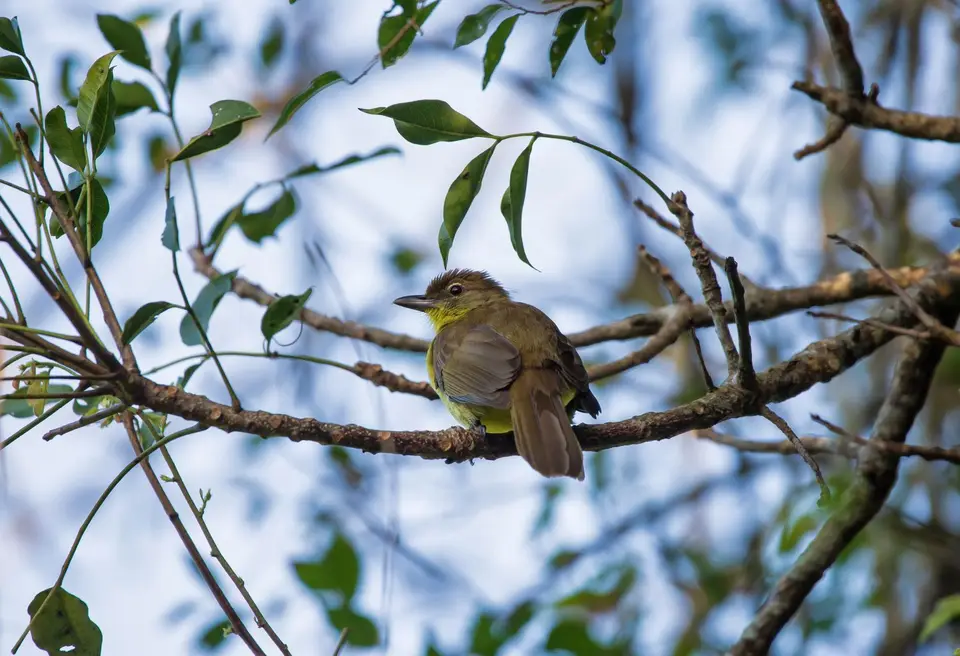 Südafrika_StLucia_050.jpg