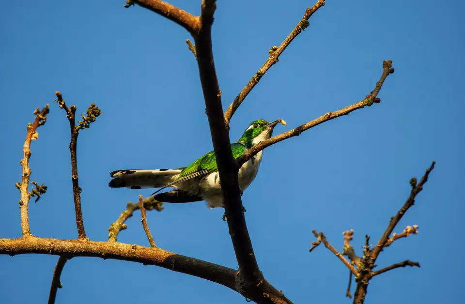 Südafrika_StLucia_082.jpg
