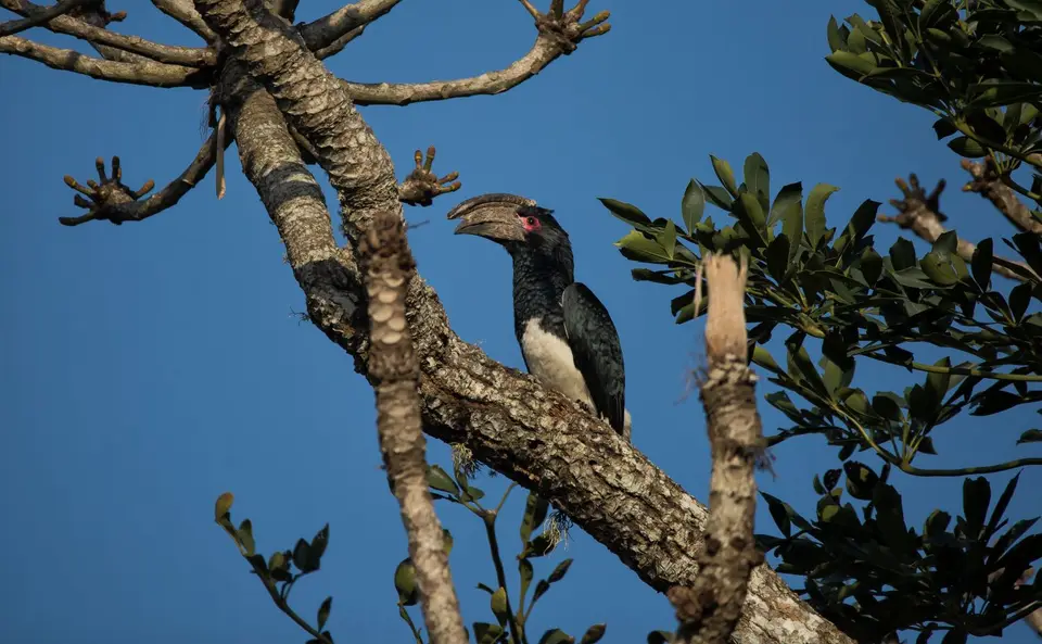 Südafrika_StLucia_099.jpg