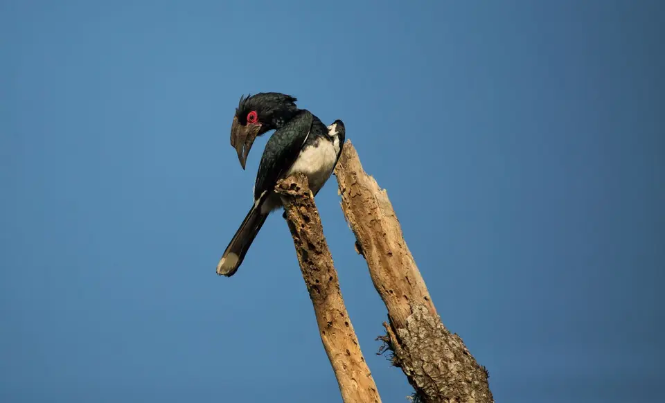 Südafrika_StLucia_101.jpg