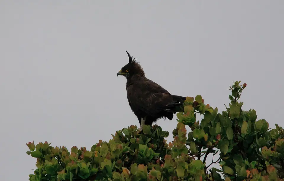 Südafrika_StLucia_113.jpg