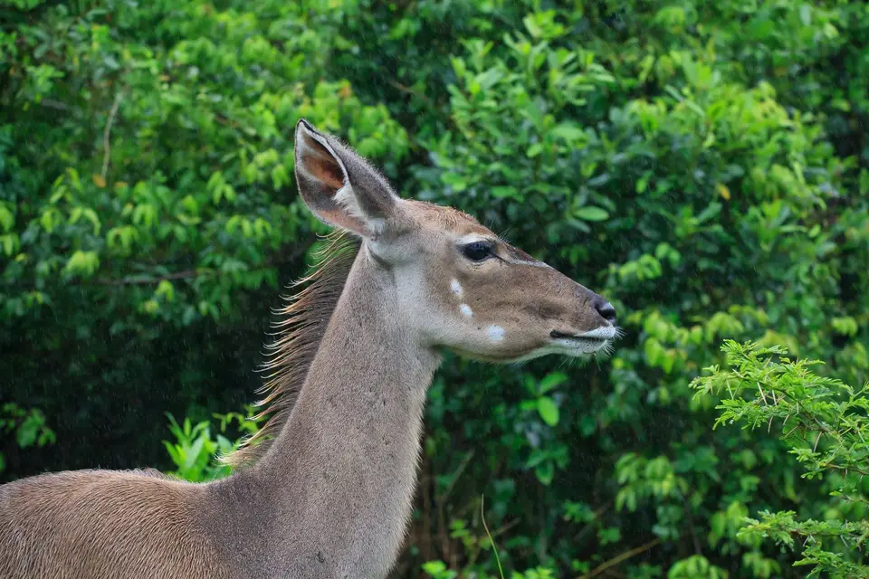 Südafrika_StLucia_115.jpg