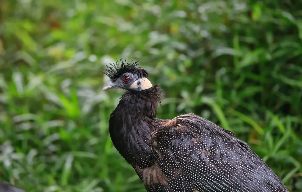Südafrika_StLucia_116.jpg