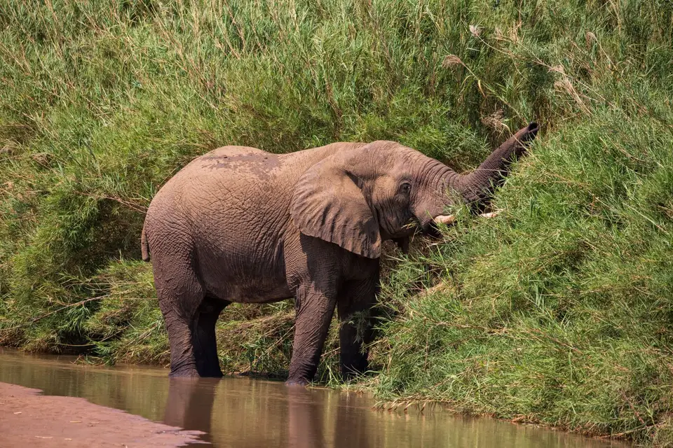 Südafrika_UmfoloziGR_002.jpg