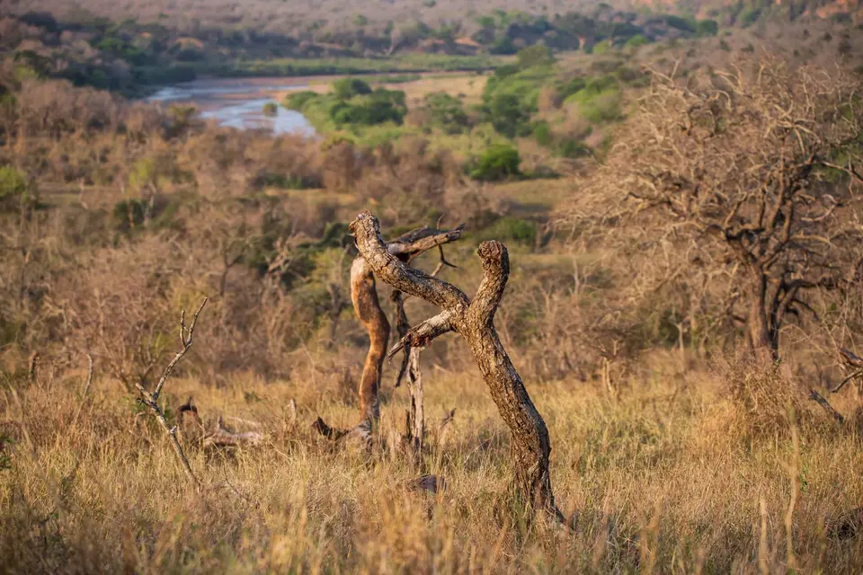 Südafrika_UmfoloziGR_032.jpg