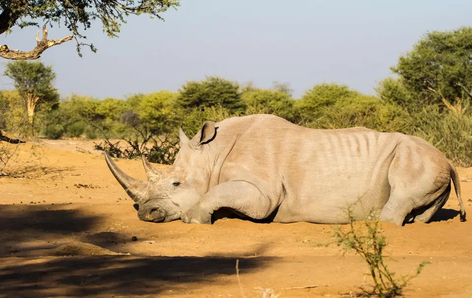 Botsuana_3510.jpg
