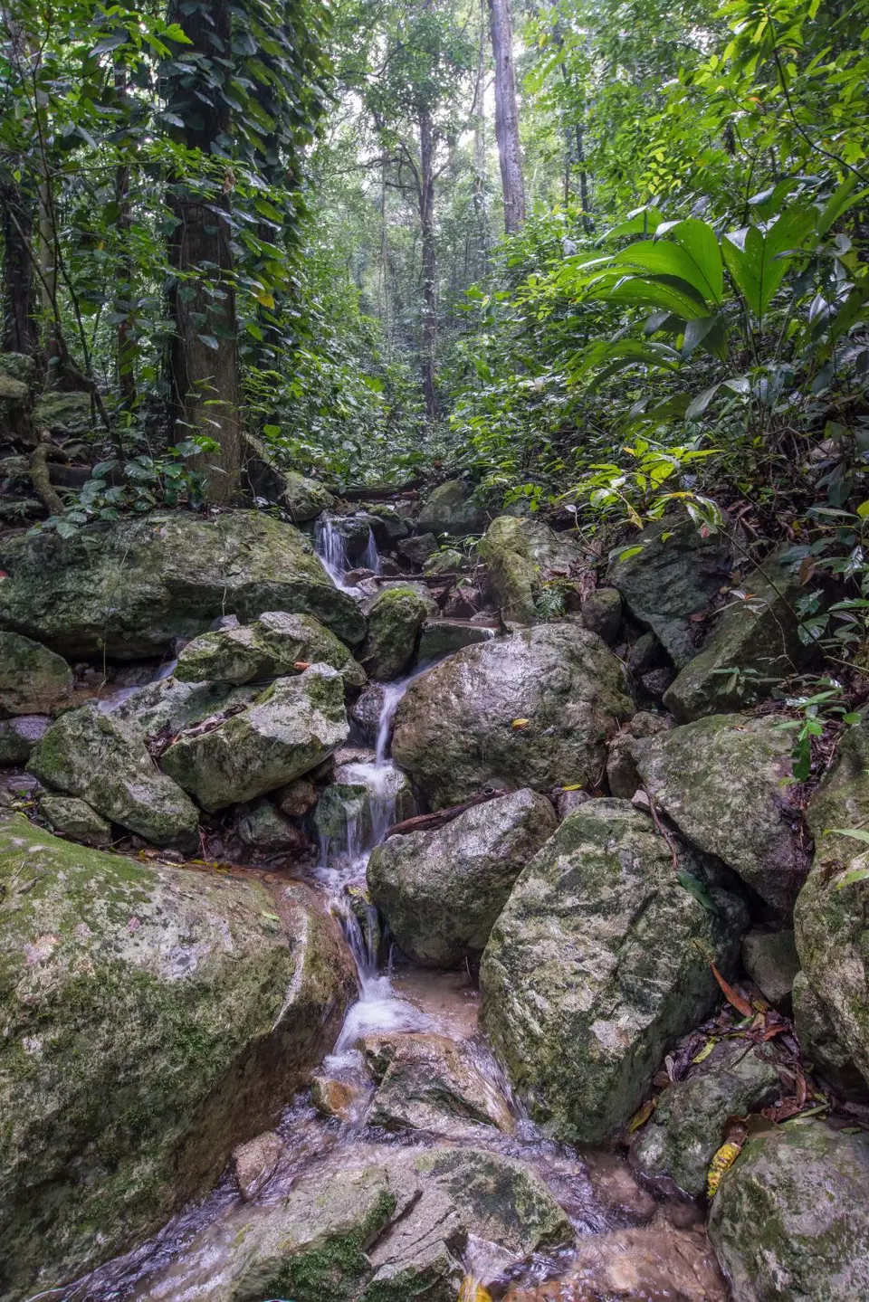 Honduras2125.JPG