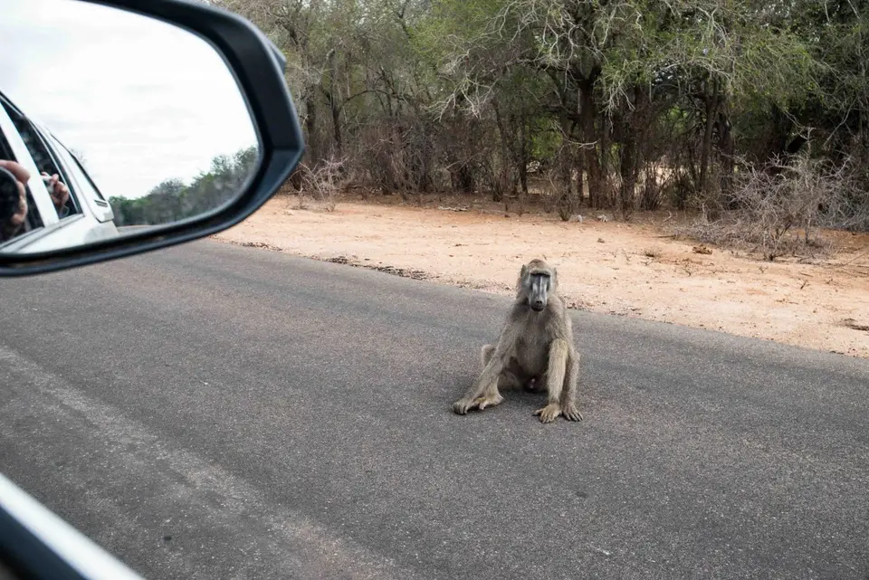 Mosambik_2052.jpg