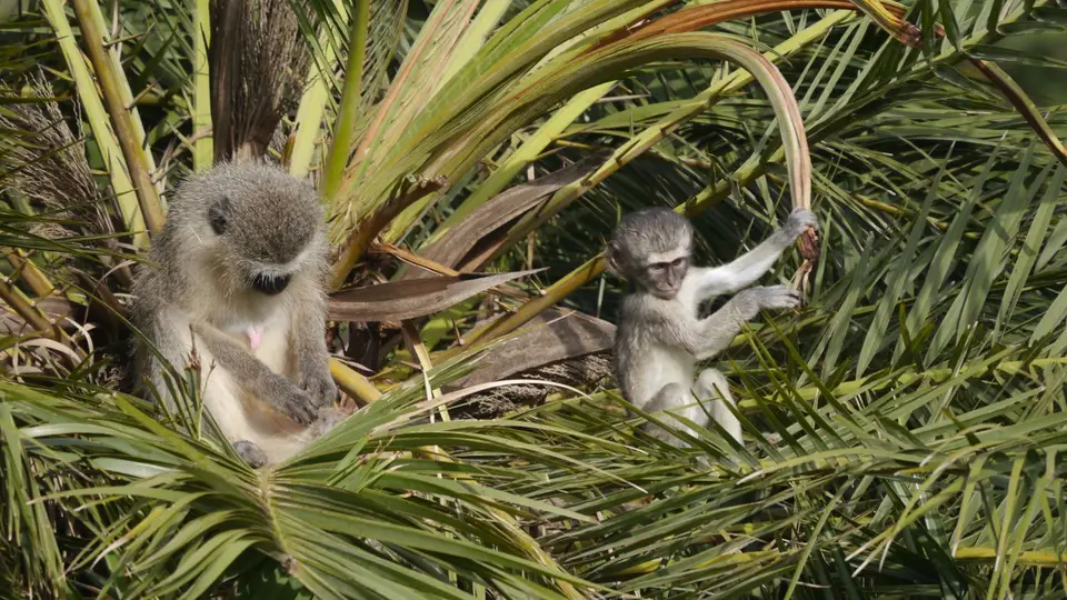 _1150947.JPG
