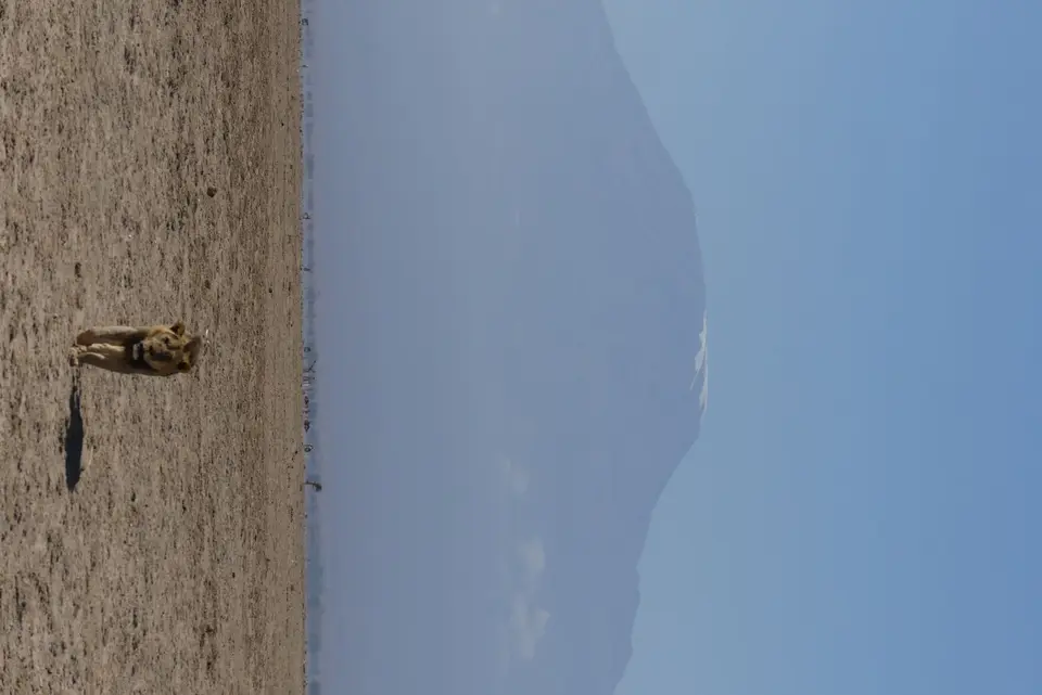 5Amboseli2-2.JPG