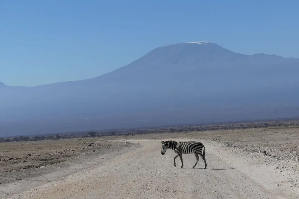 6Amboseli3.JPG