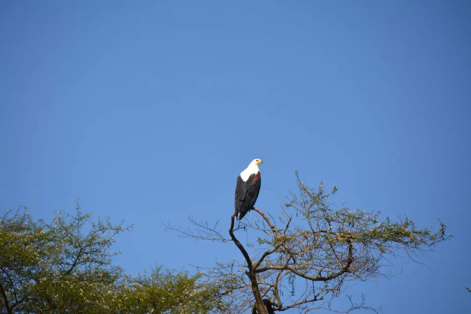 DSC_2165.JPG