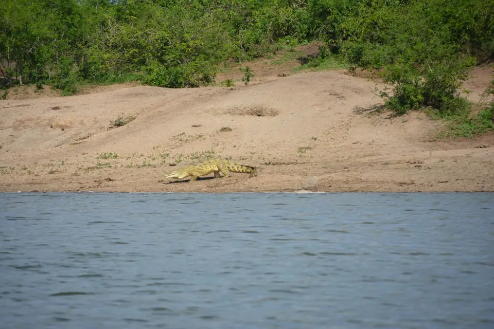 DSC_2397.JPG
