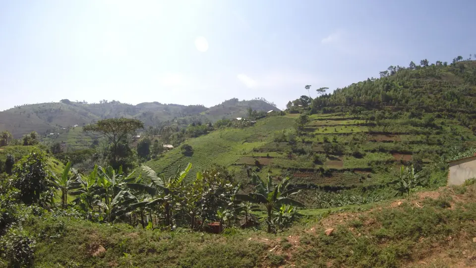 G0081132.JPG