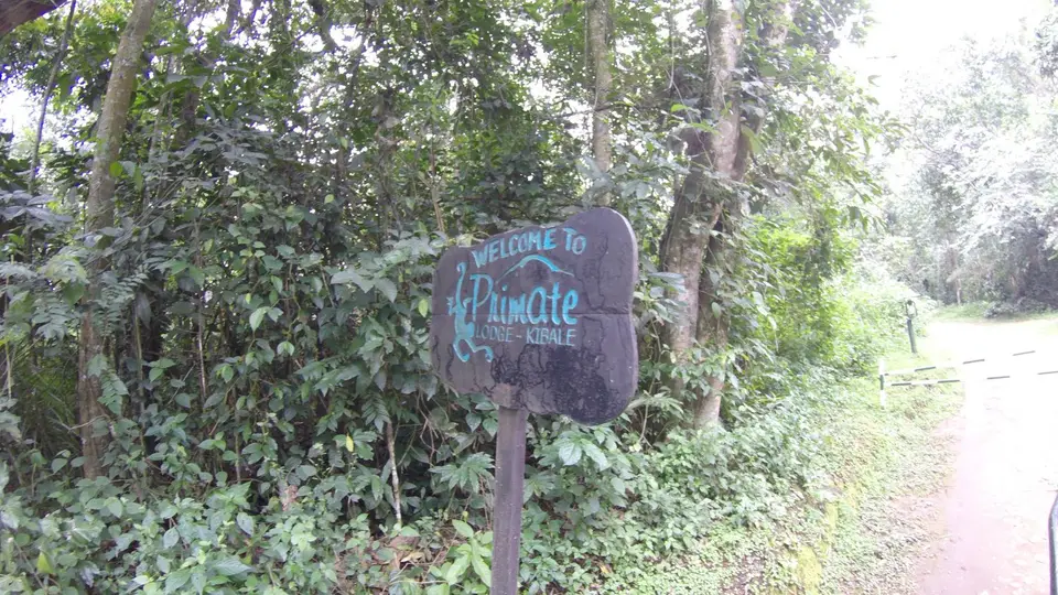 G0260249.JPG
