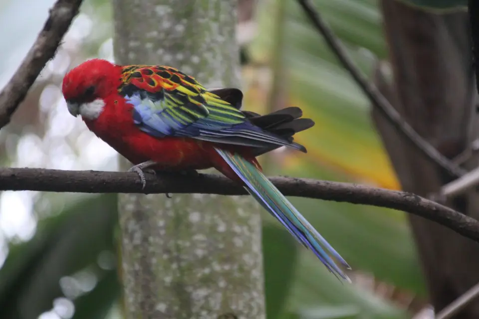 IMG_0955.JPG