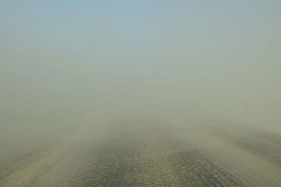 DSC_0343.JPG