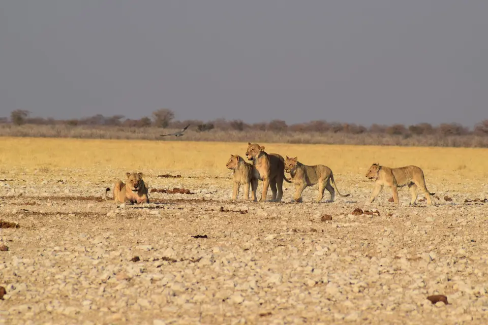 DSC_0760.JPG