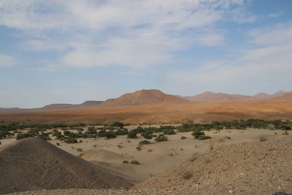 IMG_8857.JPG