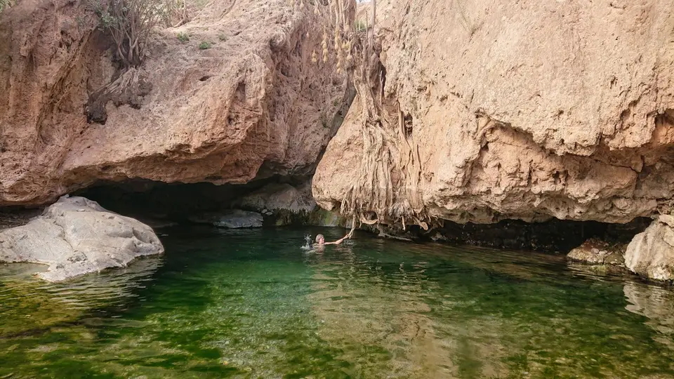 DSC_0219_1Kopie.jpg