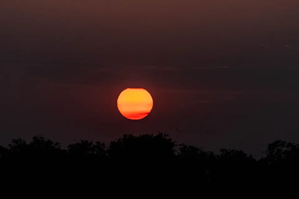 Sonne.jpg