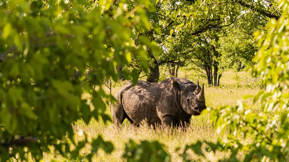 Etosha-12.jpg