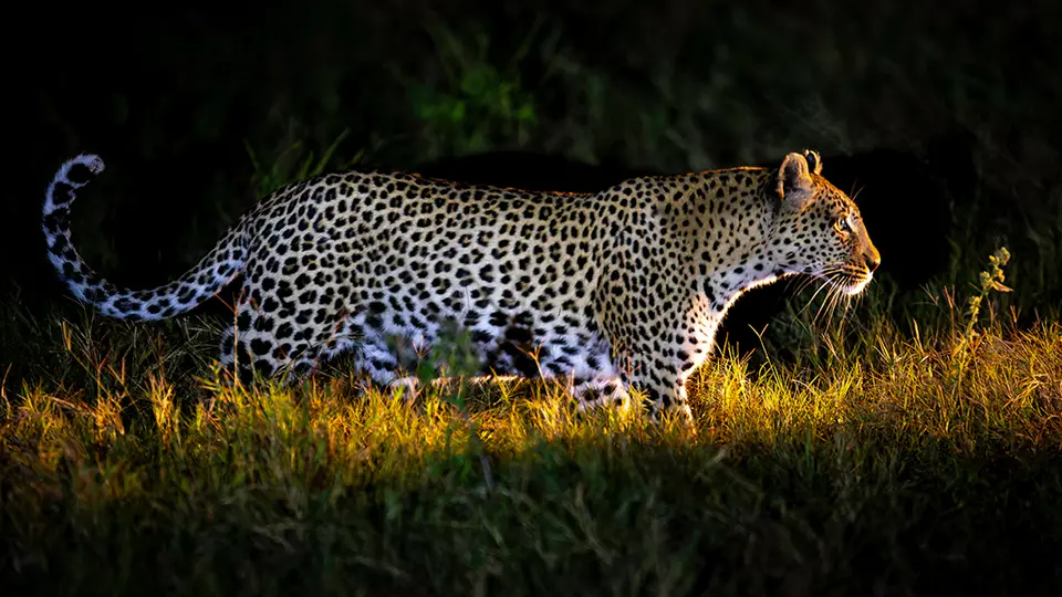 _DSC2593_MmaTsebe.jpg