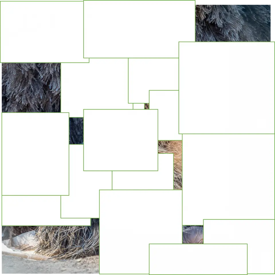 Bild1.png