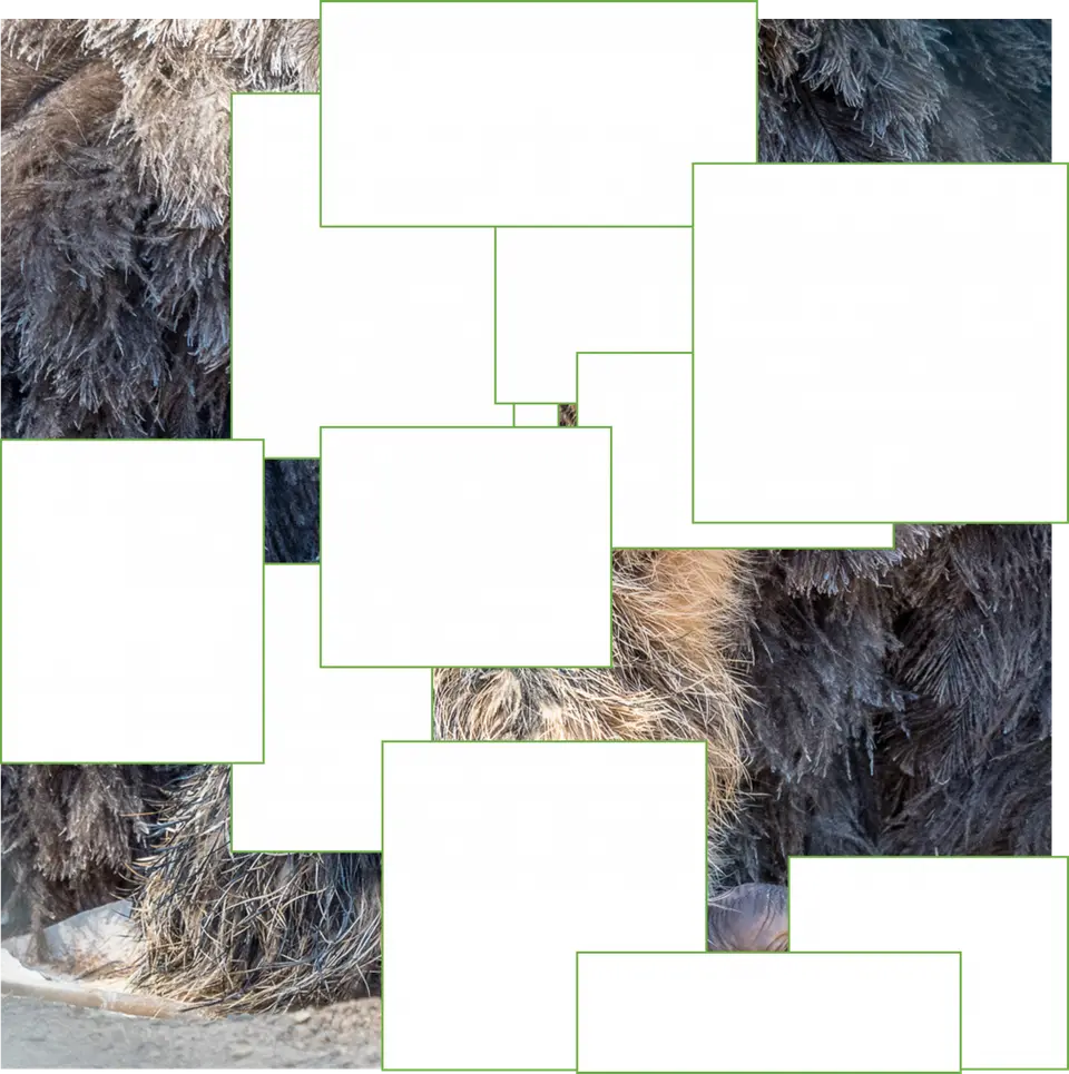 Bild3.png