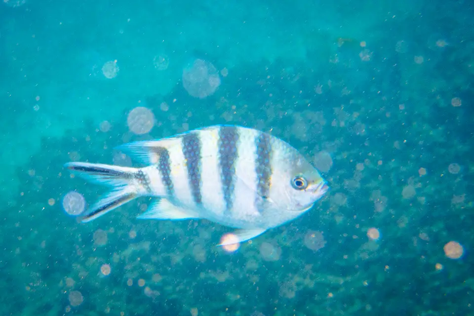 SY220145.jpg