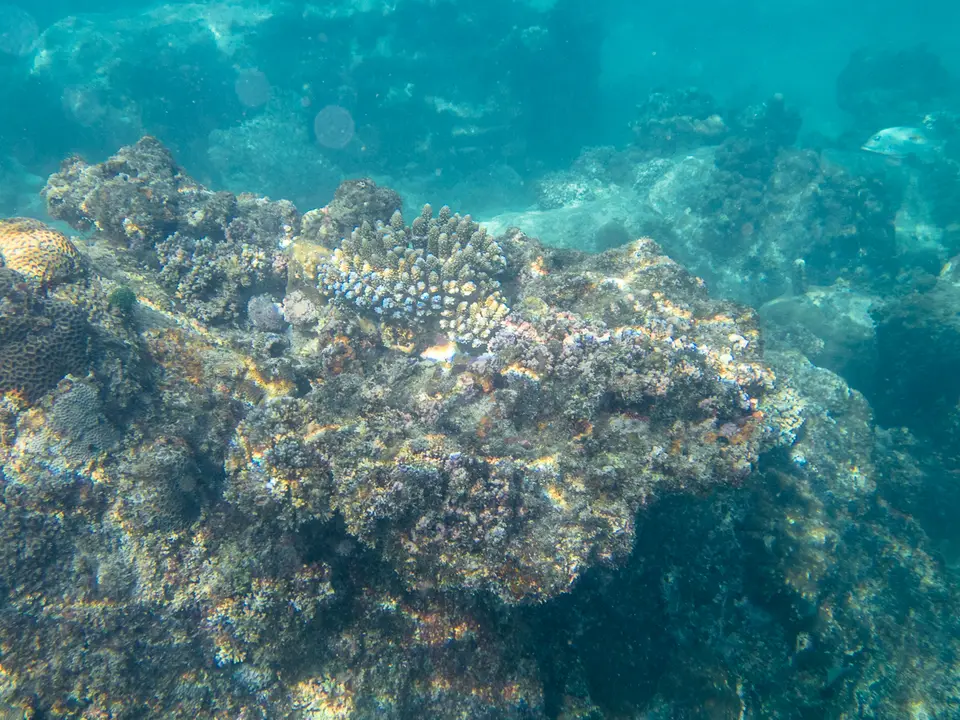 SY220207.jpg