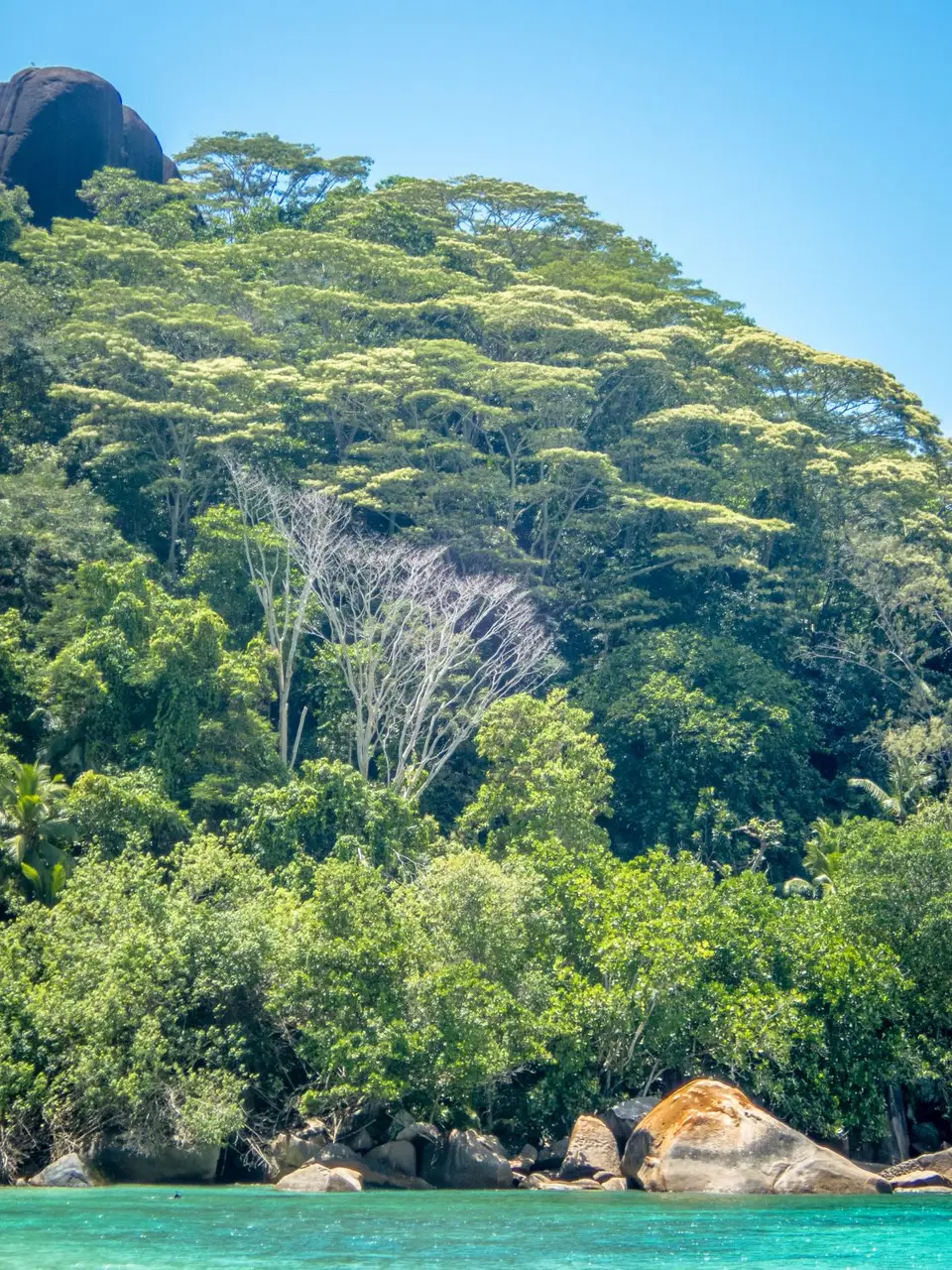 SY220254.jpg