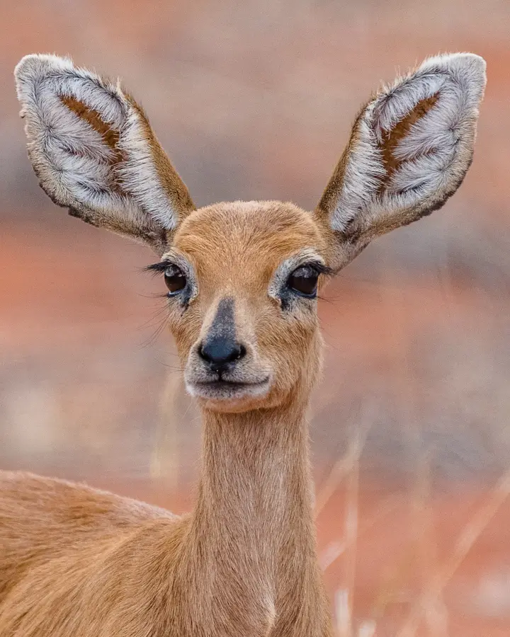 _F230802.jpg