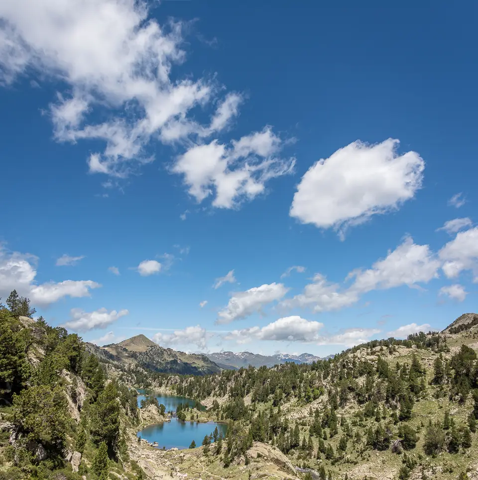 _NSP2203-Pano.jpg