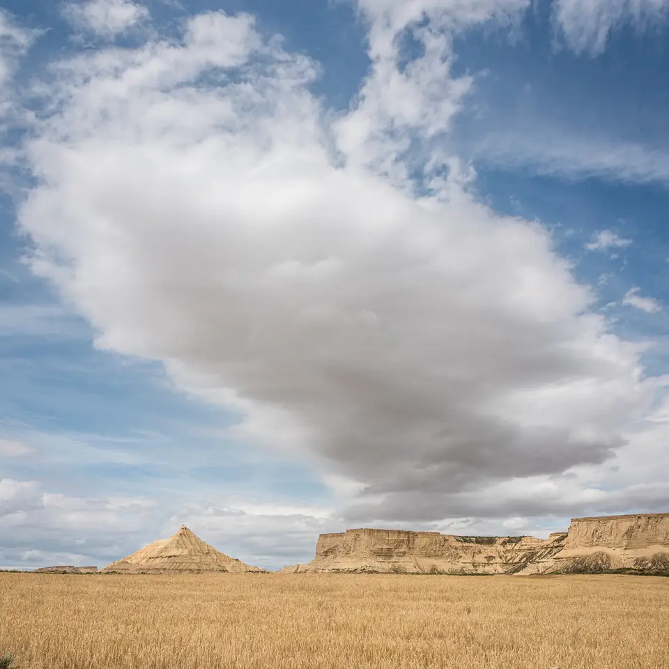 _NSP2930-Pano.jpg