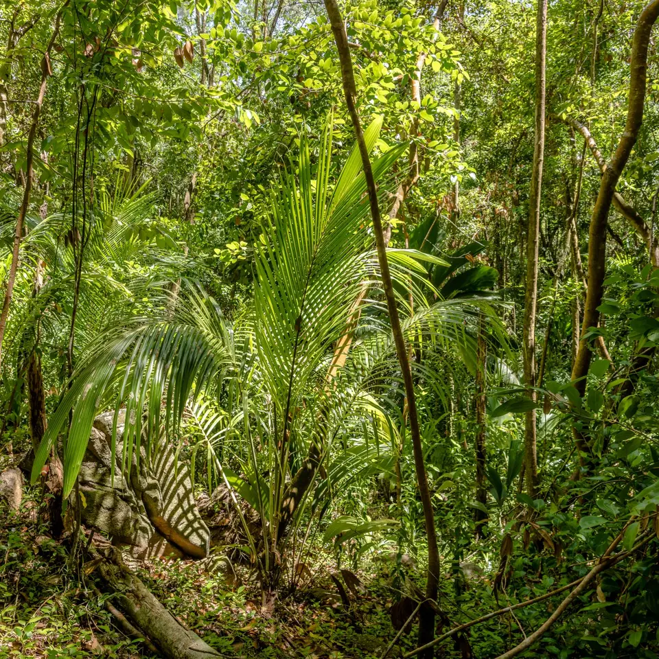 _NSP6237-Pano.jpg