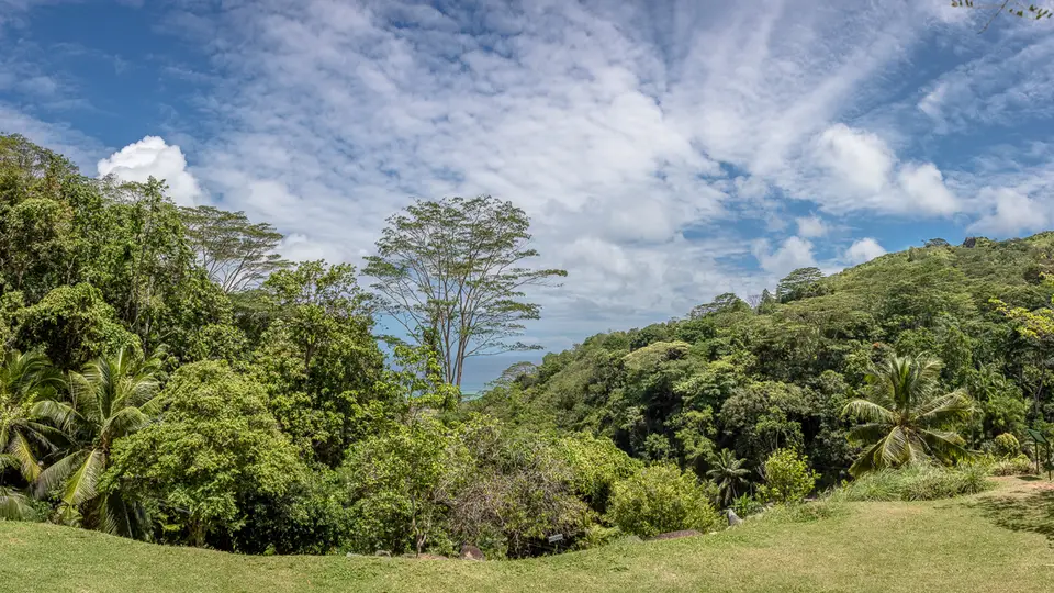 _NSP6734-Pano.jpg