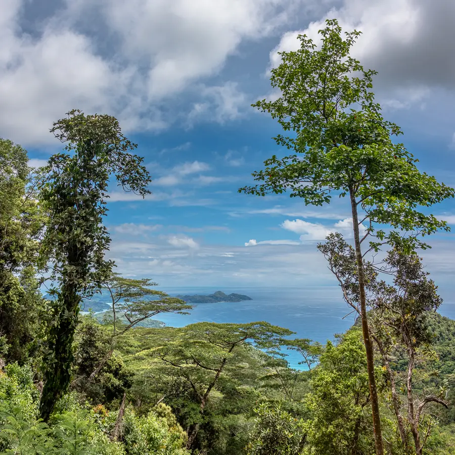 _NSP6969-Pano.jpg