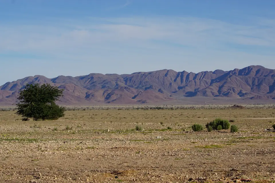 DSC09147.JPG