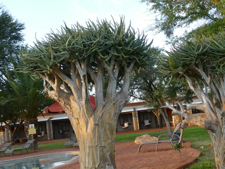 P1010151.JPG