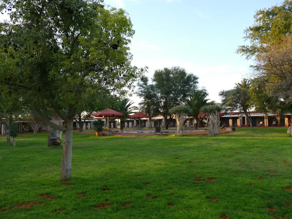 P1010154.JPG
