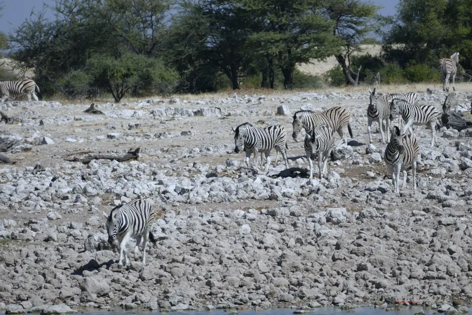 P1050717.JPG