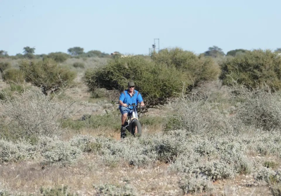rad.JPG