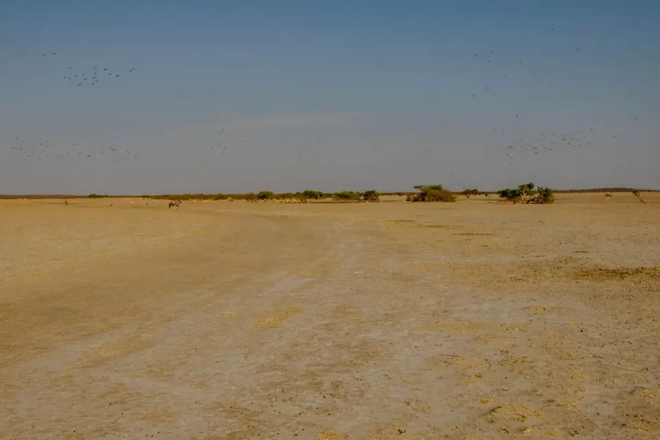 DSCF0135.jpg