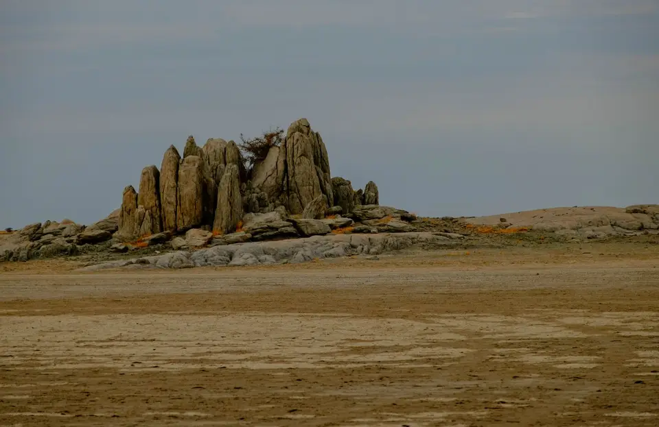 DSCF0371.jpg