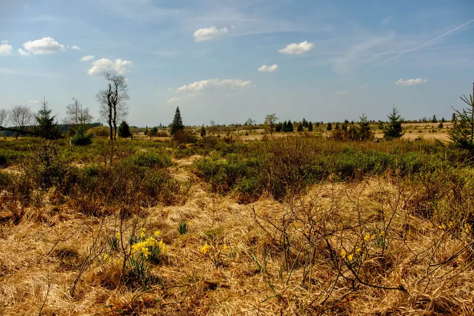 DSCF3058.jpg